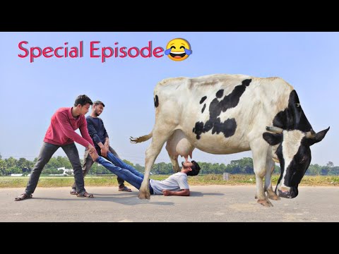 Must Watch New Funny Video | Top New Comedy Video | Try To Not Lough | Fun 24H