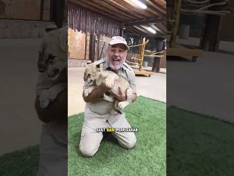 Hari terakhir paman dikebun binatang‼️😭 #shorts #video #animals