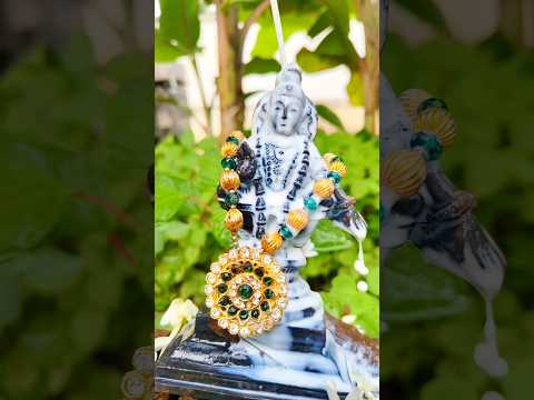 God ayyappa is everything #ayyappa#ayyappan#ayyappaswamy#shorts