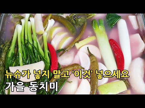 💙가을 동치미💙 뉴슈가 넣지 말고 '이것' 넣어 보세요~ 톡! 쏘는 맛이 너무 맛있어요~ 풀물 안들어간 깔끔한 맛!