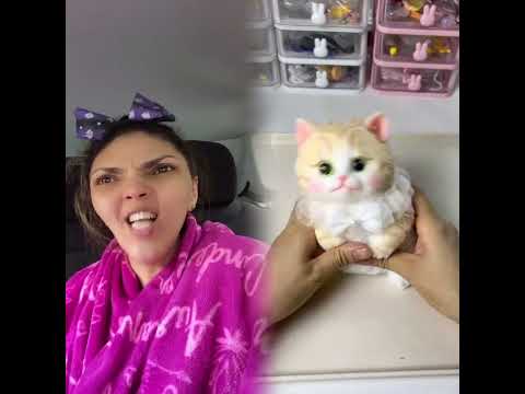 #pov