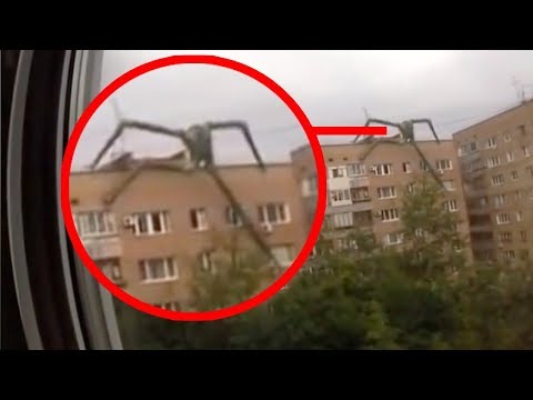कैमरे में कैद 5 रहस्यमय जीव | 5 Most Mysterious Creatures Caught On Camera