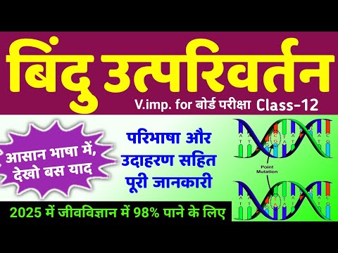 बिंदु उत्परिवर्तन क्या है उदाहरण दीजिए | bindu utparivartan aur udaharan | point mutation class 12