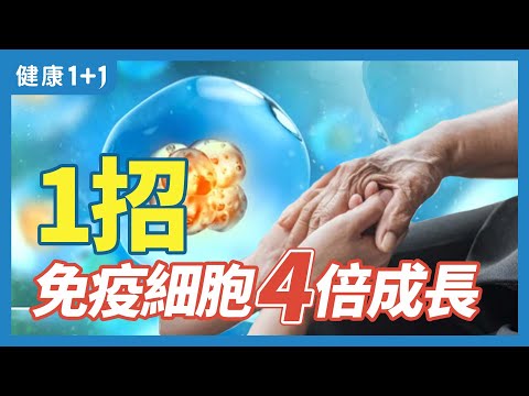 利他 助人  免疫細胞4倍成長 | 健康1+1 · 直播精選