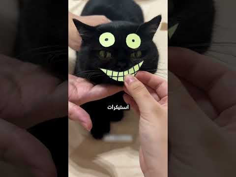 القطوة الشبح! #shorts