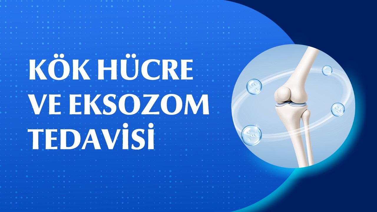 Kök Hücre ve Eksozom Tedavisi Nörorehabilitasyonda Nasıl Kullanılır?