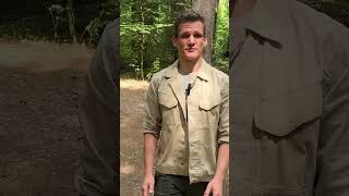 Willkommen in Bichlheim, lieber Frederik ! 💕