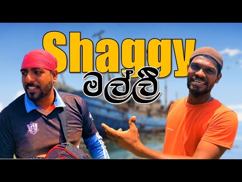 🔴 Shaggy මල්ලි | දිරිය තරුණයකුගේ කතාව | @wishwatiyubaya 🏆💯👌