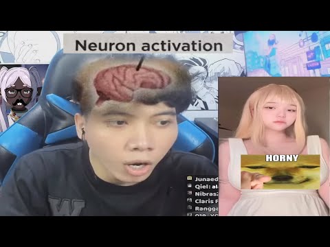 Review Pacar Anime / Waifu Penonton, Banyak Yang Hitam Njir 💀