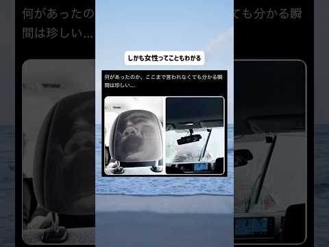 なにより無事であることが1番です #shorts