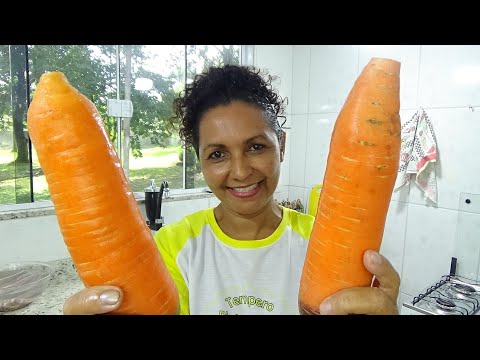 SALMÃO OU CENOURA- CONTANDO A HISTÓRIA DO SALMÃO