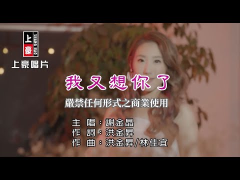 謝金晶-我又想你了【KTV導唱字幕】1080p