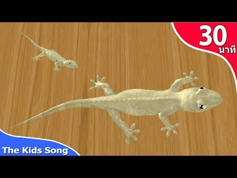 เพลงจิ้งจก ตุ๊กแก เพลงเด็กฟังกันยาวๆ 30 นาที   The Kids Song