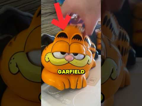 The 30 Year Garfield Mystery 😳🕵️‍♂️