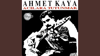 Kadınlar