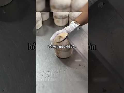 Lý do tại sao người nước ngoài họ không uống nước dừa tươi 😮