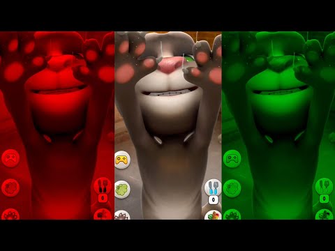 Talking Tom Cat