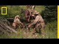 Horse Rescue Challenges and Emotions