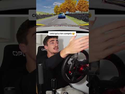 Alors t'es quelle personne ?! 🤣 #rallye #pov #assettocorsa #humour  #simracing #shortyoutube