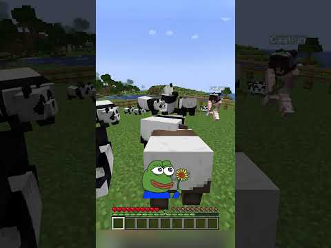 Why do they do this #shorts #minecraft #minecraftshorts