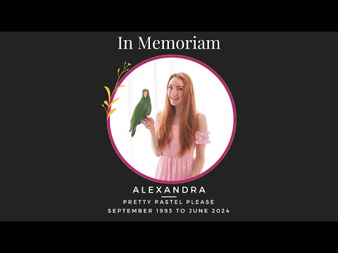PRETTY PASTEL PLEASE | Alexandra Paula Starling: 1993 - 2024 RIP. Memorial Service: 21-06-2025.