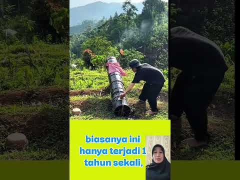 cannon made of bamboo 😁😀 #reaction #shortvideo #funny #viral #comedy #shorts #education