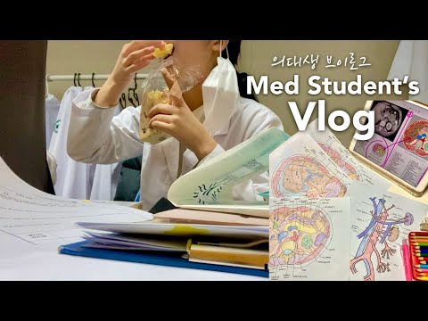 Eng) 의대생 Vlog | 아프지만 과제하고 시험 보고 잘 챙겨 먹었던 일주일😪영상의학과 실습🩻 Korean med student's Vlog