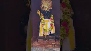 🔱 வேல் முருகன் அருள் | ஓம் சரவணபவா 🦚 | Murugan Darshan | Tamil Devotional  #Shorts #YouTubeShorts 🦚🔱