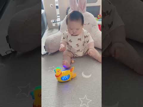 cute 🐤