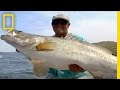 Congo River and Its Unique Inhabitants