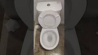Toilet Flushing #toilet #flushing #flushingtoilets  #shorts