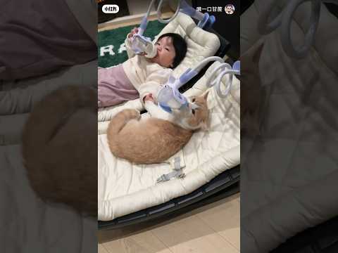 When I said I wanted 2 kids #xiaohongshu #cat #orangecat