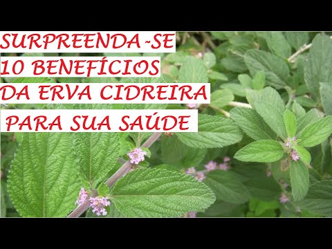 plantei melissa (erva cidreira) benefícios para saúde !