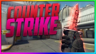 Terrible Partida Con el Perro Primo