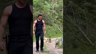 Kurt başı dik yürür… 🐺 🇹🇷