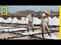 Salinas: Historia y Preservación