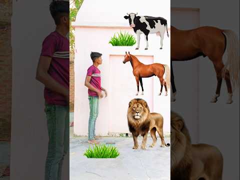 Tiger ने चिंटू को खा गया 😥~ mini wood - woodworking art skills/handcrafts /#shorts