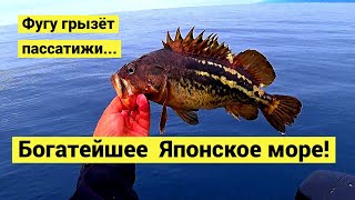видео