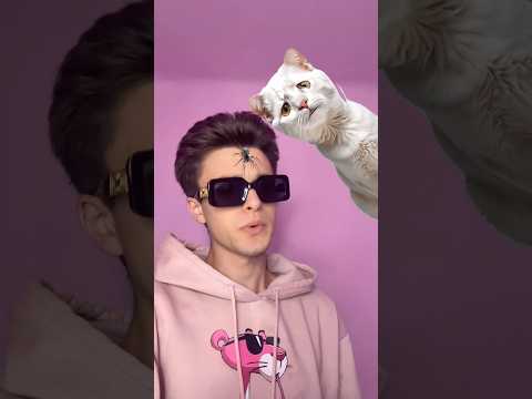 #cat #moneytalks #trend