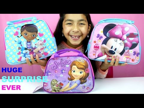 Doc McStuffins Sofia the First and Minnie Mouse Surprise Lunch Boxes|B2cutecupcakes