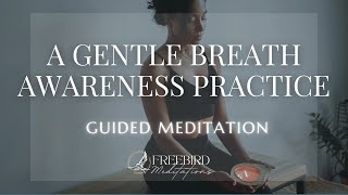 Guided Meditation on Breath Awareness – Gentle Practice to Calm Your Mind