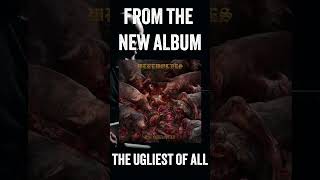 Werewolves - I Want To Be Offended