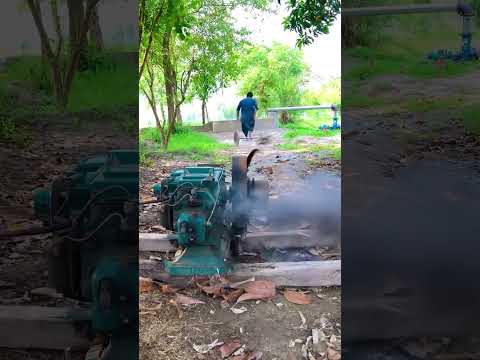 Giải trí , hài hước