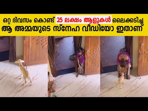ഒറ്റ ദിവസം കൊണ്ട് 25 ലക്ഷം ആളുകൾ ലൈക്കടിച്ച ആ അമ്മയുടെ സ്നേഹ വീഡിയോ ഇതാണ് | Best Video For Ever