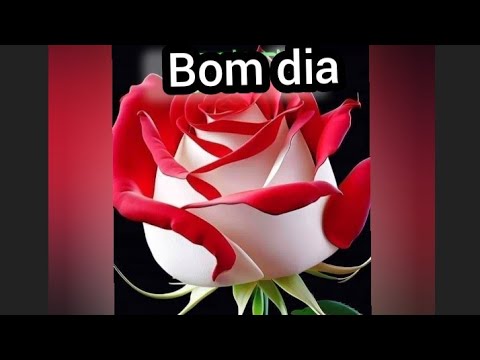 Mensagem de bom dia feliz sexta feira ❤️😘