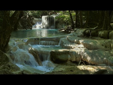 Waterfall 4K - 放鬆音樂 🎶 靜心和治療音樂 獲得正能量 | 值得你單曲圈的輕音樂合輯！舒服鋼琴讓你很快靜下心來,早晨正能量音乐,治療音樂冥想舒緩按摩,美麗的鳥鳴與流水