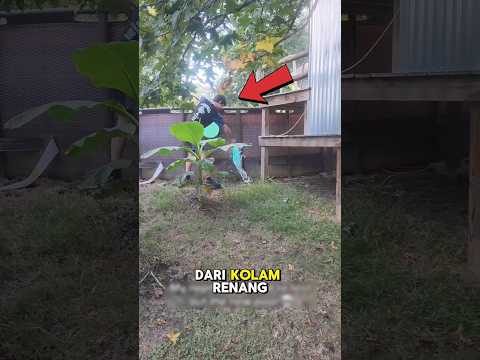 Ketika Menguras Kolam Renang Tidak Berjalan Sesuai Rencana 😂
