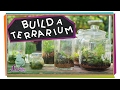 Creating Your Own Terrarium Adventure