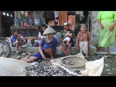 Luar biasa!!!panen caung seambrek//hasil langsung dimasak orek orek lele tiongkok
