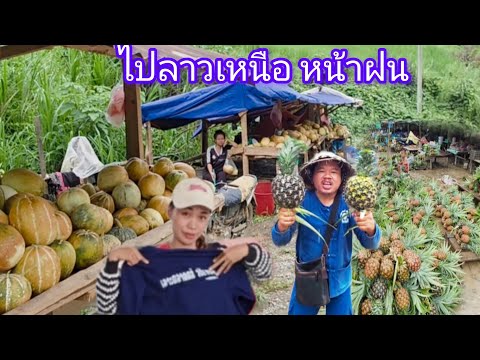 #เที่ยวลาว เหนือ มาแล้วฤดูกาลสัปรดหวาน มากับฝนตกทั้งวัน #บรรยากาศ เดินทางไปเขียงขวาง #สปปลาว#สาวลาว 
